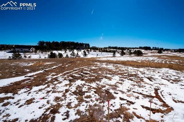 17235 Gwilym Ct, Monument, CO 80132
