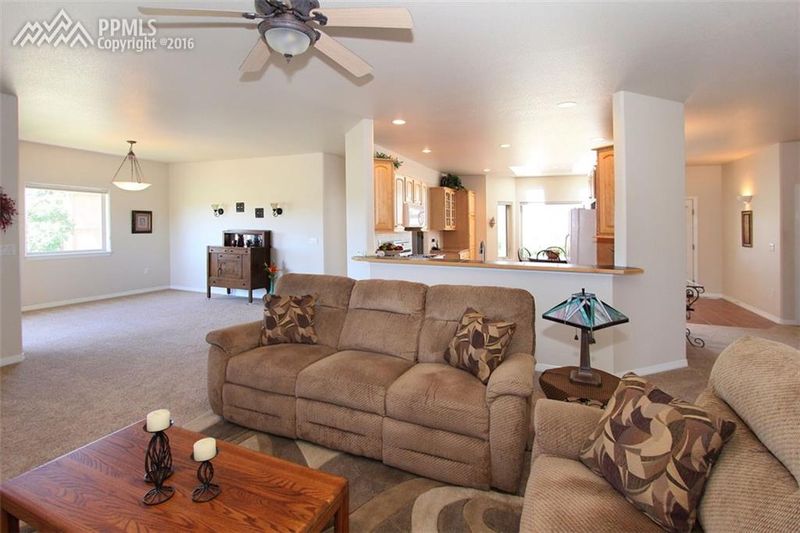 17245 Leggins Way, Monument, CO 80132