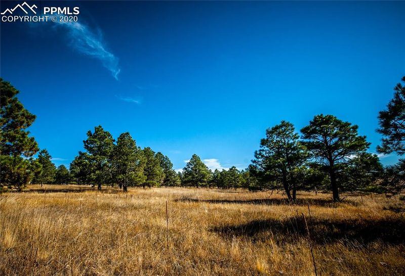 17248 Abert Ranch Dr, Colorado Springs, CO 80908