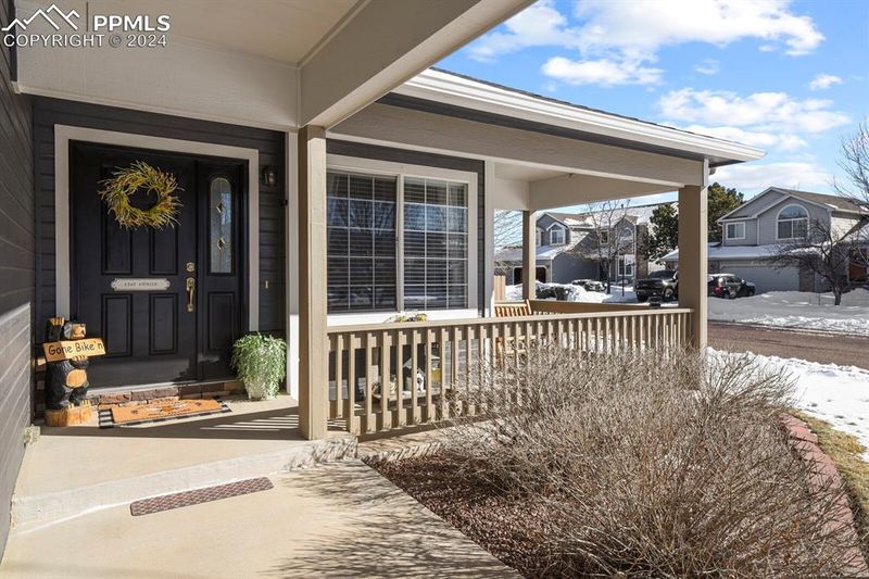 17248 Buffalo Valley Pa, Monument, CO 80132