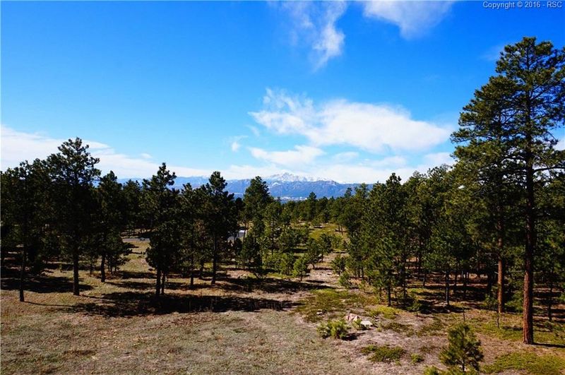 17295 Colonial Park Dr, Monument, CO 80132