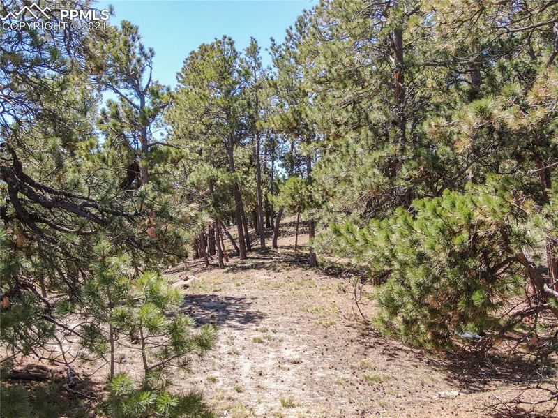 17320 Prospector Dr, Peyton, CO 80831