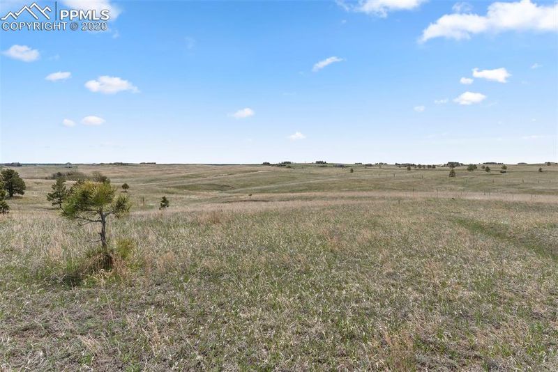 17326 Abert Ranch Dr, Colorado Springs, CO 80908
