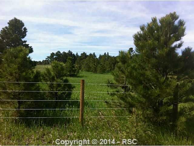 17335 Lovaca Dr, Peyton, CO 80831