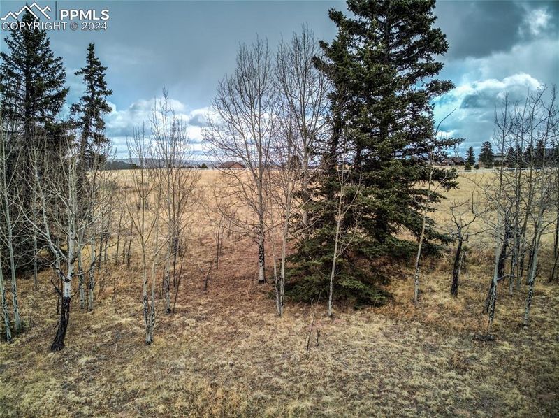 174 Joshua Rd, Divide, CO 80814