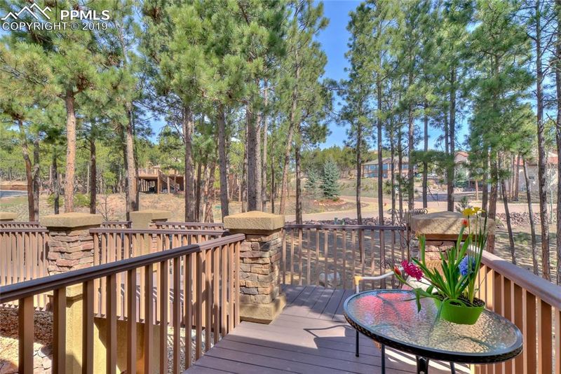17455 Lamplight Dr, Monument, CO 80132