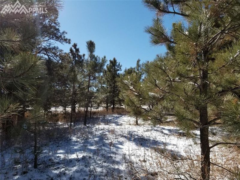 17470 W Cherry Stage Rd, Colorado Springs, CO 80921
