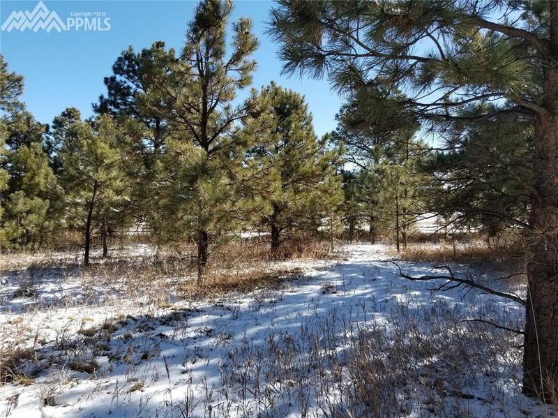 17470 W Cherry Stage Rd, Colorado Springs, CO 80921