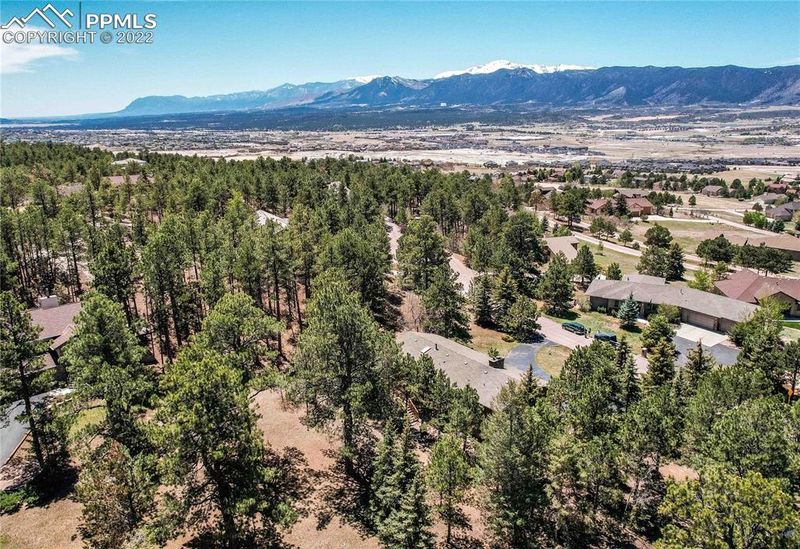 17485 Chipped Arrow Way, Monument, CO 80132
