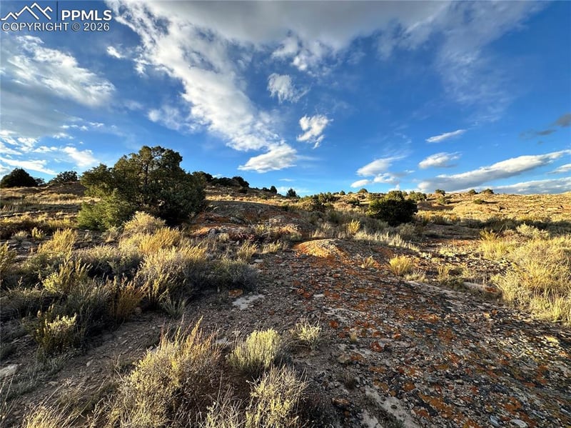 1750 County Road 22, Del Norte, CO 81132