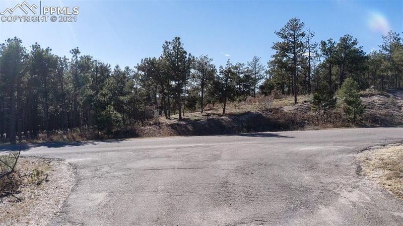 17550 Minglewood Trl, Monument, CO 80132