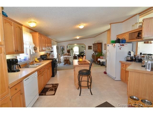 17585 Blue Lake Ln, Peyton, CO 80831