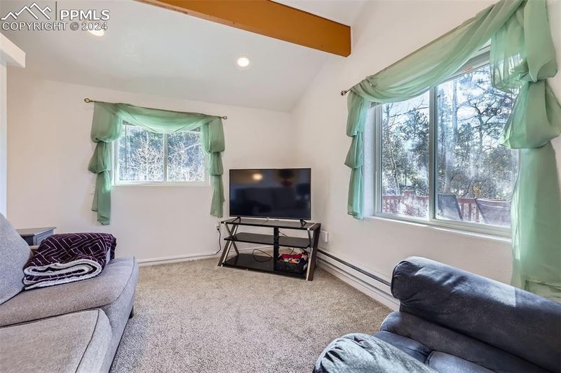 17618 Highway 67 Hw, Divide, CO 80814