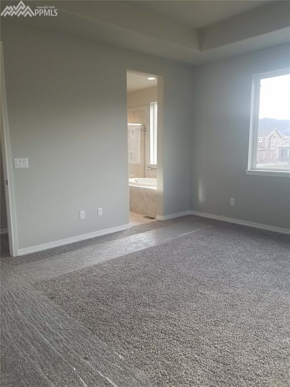 17634 Leisure Lake Dr, Monument, CO 80132