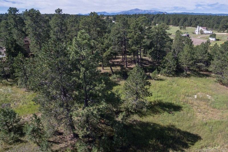 17650 Shahara Rd, Monument, CO 80132