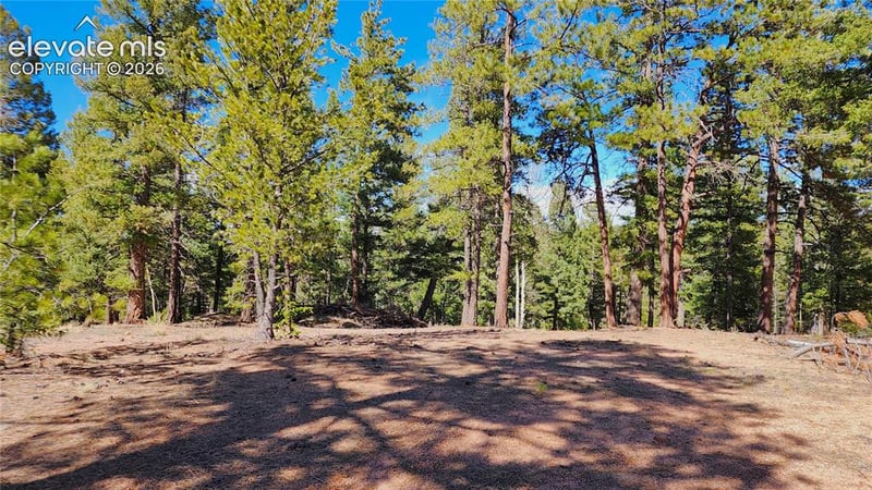 178 Gerka Ln, Florissant, CO 80816