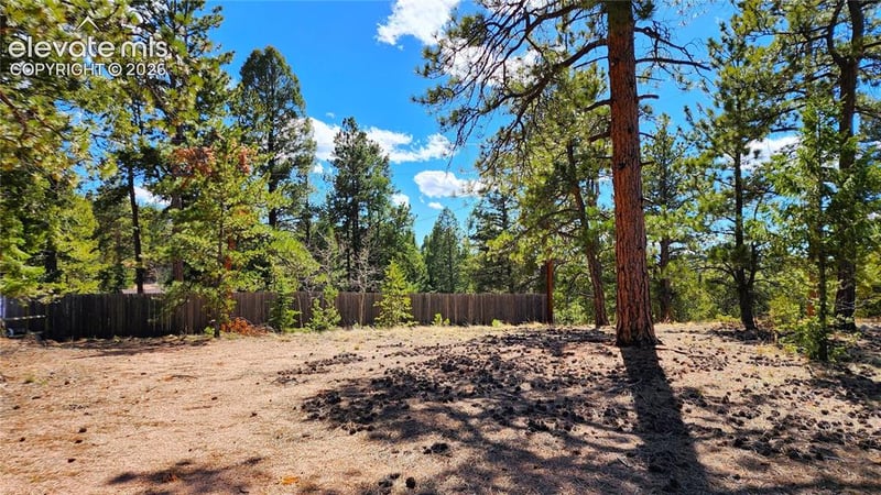 178 Gerka Ln, Florissant, CO 80816