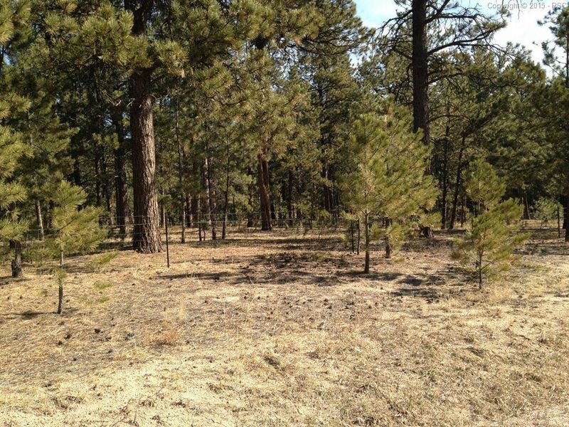 17855 Roller Coaster Rd, Monument, CO 80132