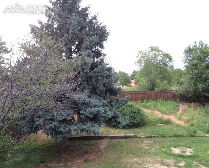 1788 Summernight Ter, Colorado Springs, CO 80909