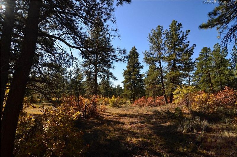 1788 Wild Timber Ct, Franktown, CO 80116