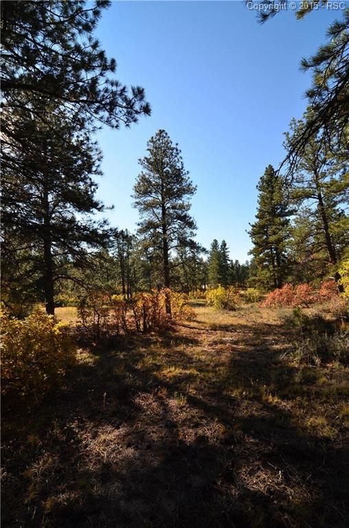 1788 Wild Timber Ct, Franktown, CO 80116