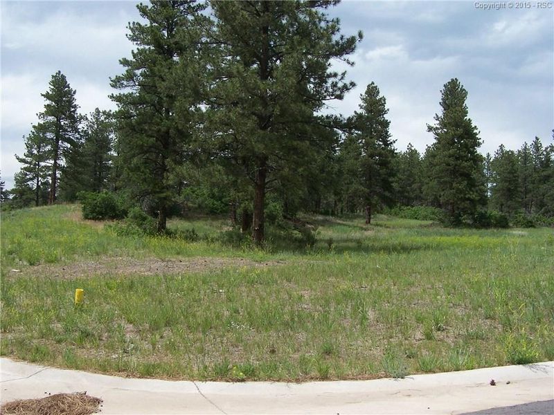 1788 Wild Timber Ct, Franktown, CO 80116