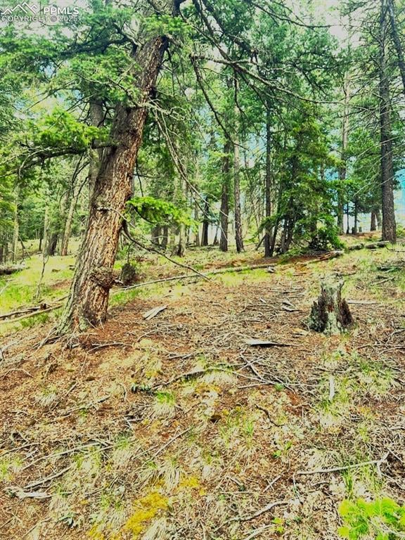 179 Kenosha Way, Florissant, CO 80816