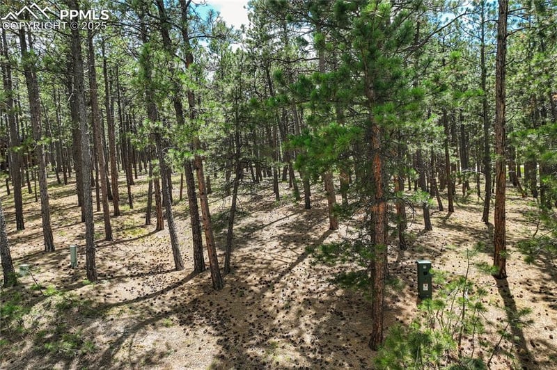17960 Smugglers Rd, Monument, CO 80132