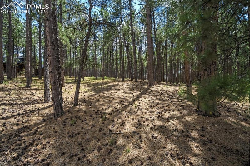 17960 Smugglers Rd, Monument, CO 80132