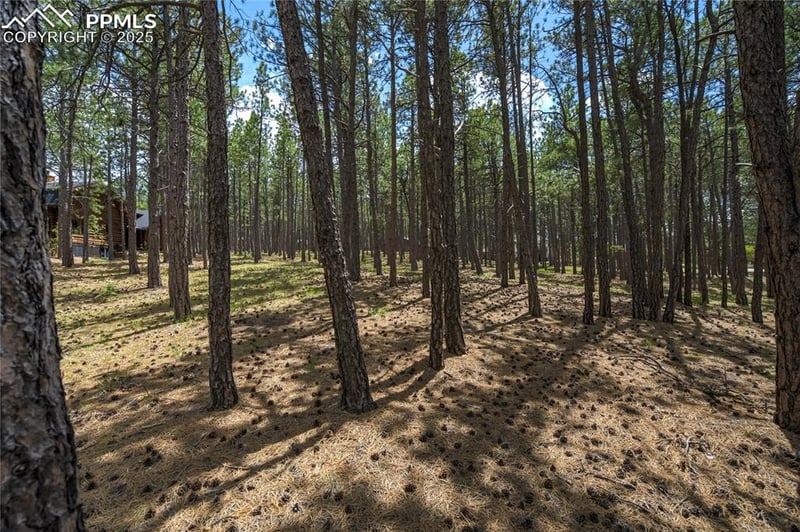17960 Smugglers Rd, Monument, CO 80132