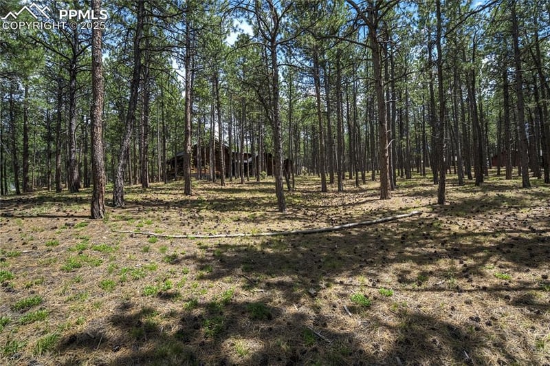 17960 Smugglers Rd, Monument, CO 80132