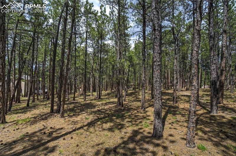 17960 Smugglers Rd, Monument, CO 80132