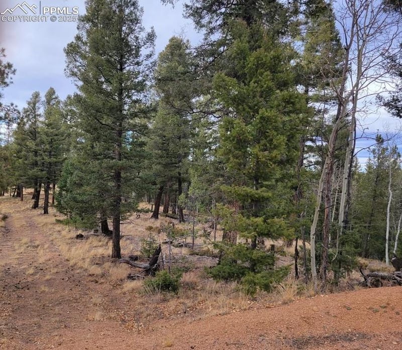 180 Sentinel Way, Florissant, CO 80816