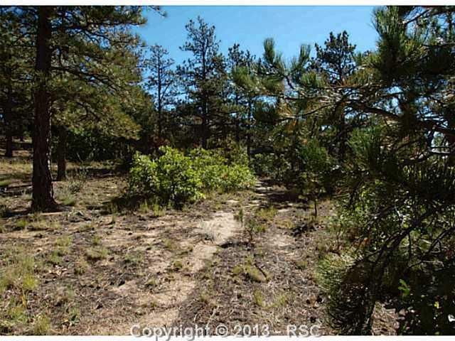 18105 Stone View Rd, Monument, CO 80132