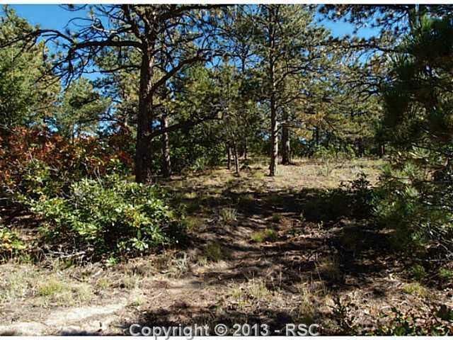 18105 Stone View Rd, Monument, CO 80132