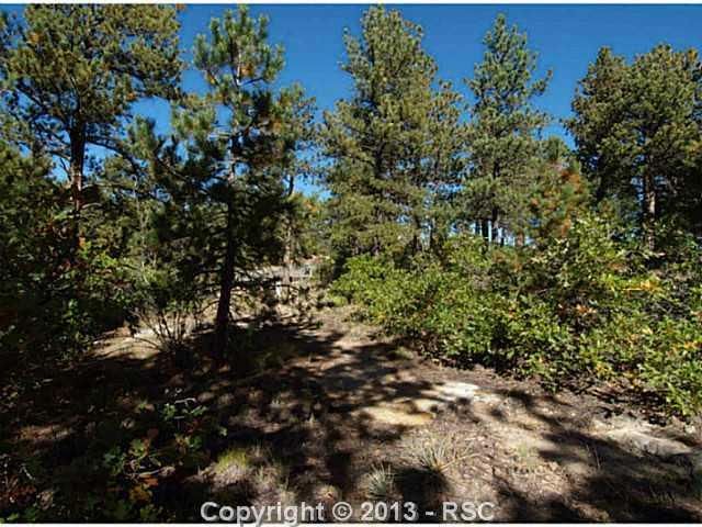 18105 Stone View Rd, Monument, CO 80132