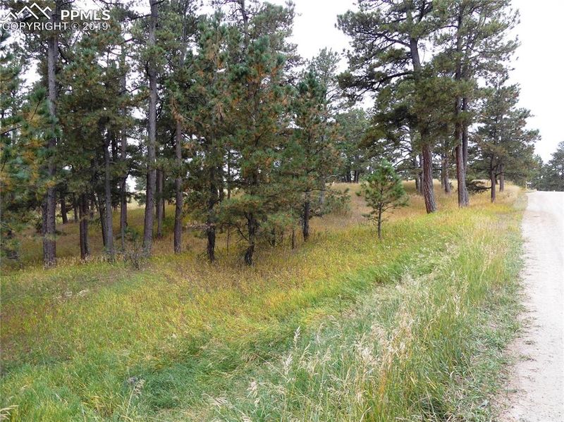 18115 Cumbres Rd, Peyton, CO 80831