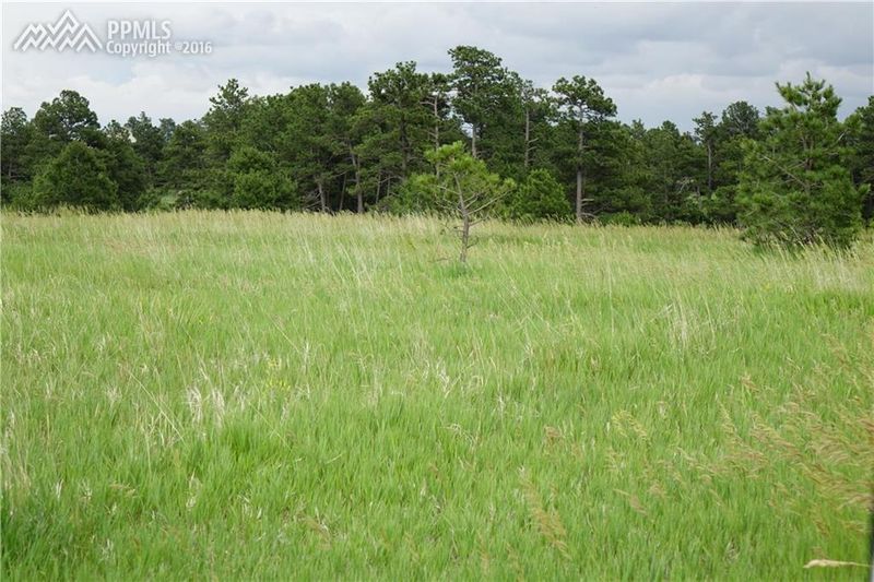 18160 Pinon Park Rd, Peyton, CO 80831
