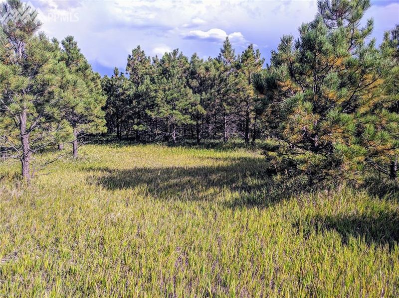 18310 Steeplechase Dr, Peyton, CO 80831