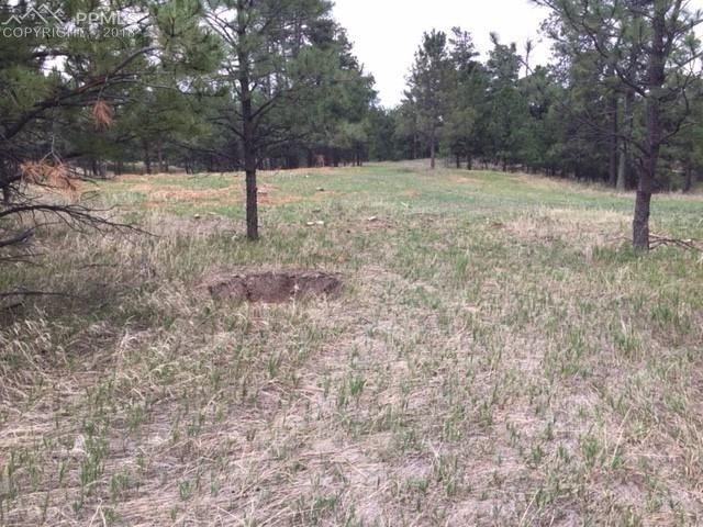 18310 Steeplechase Rd, Peyton, CO 80831