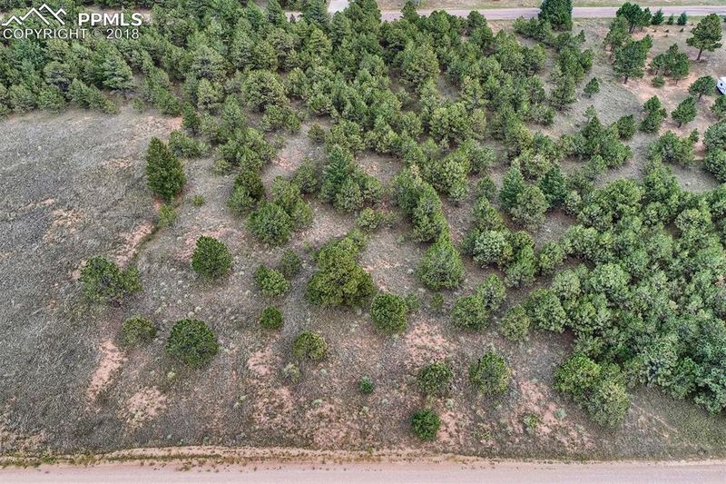 18365 Forest View Rd, Monument, CO 80132
