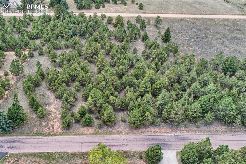 18365 Forest View Rd, Monument, CO 80132