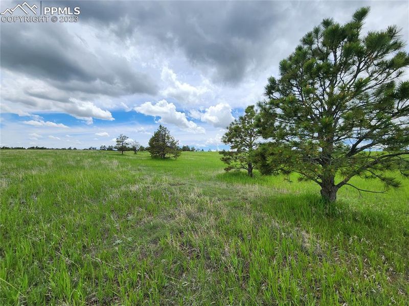 18365 Pinon Park Rd, Peyton, CO 80831