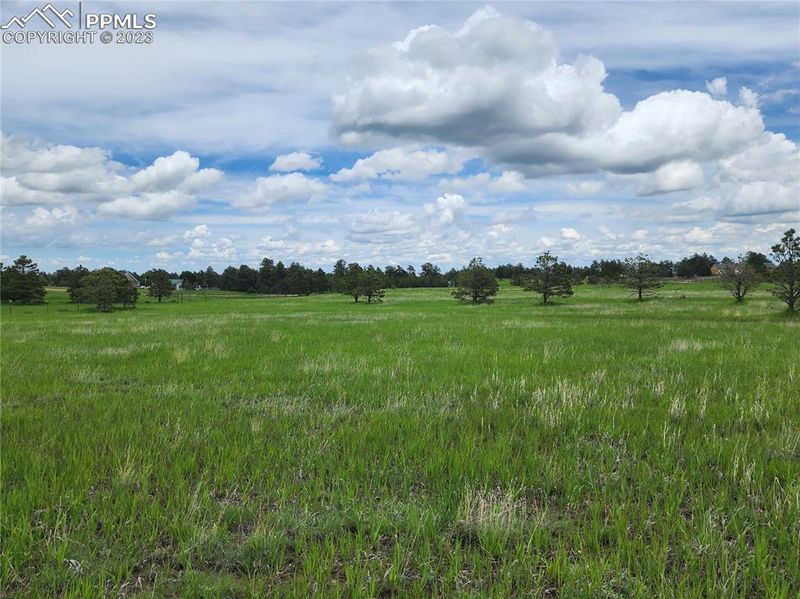 18365 Pinon Park Rd, Peyton, CO 80831