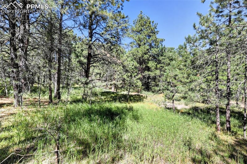 18380 Black Squirrel Rd, Colorado Springs, CO 80908