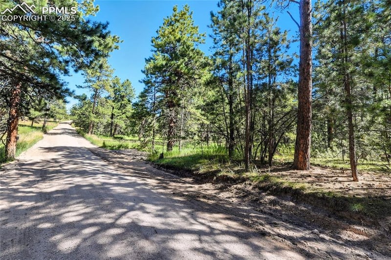 18390 Black Squirrel Rd, Colorado Springs, CO 80908