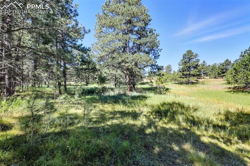 18400 Black Squirrel Rd, Colorado Springs, CO 80908