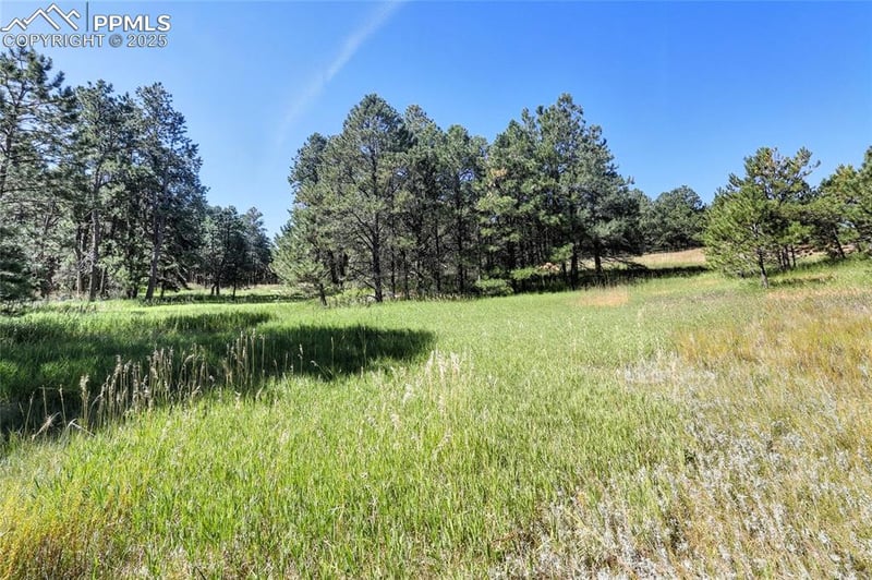 18400 Black Squirrel Rd, Colorado Springs, CO 80908