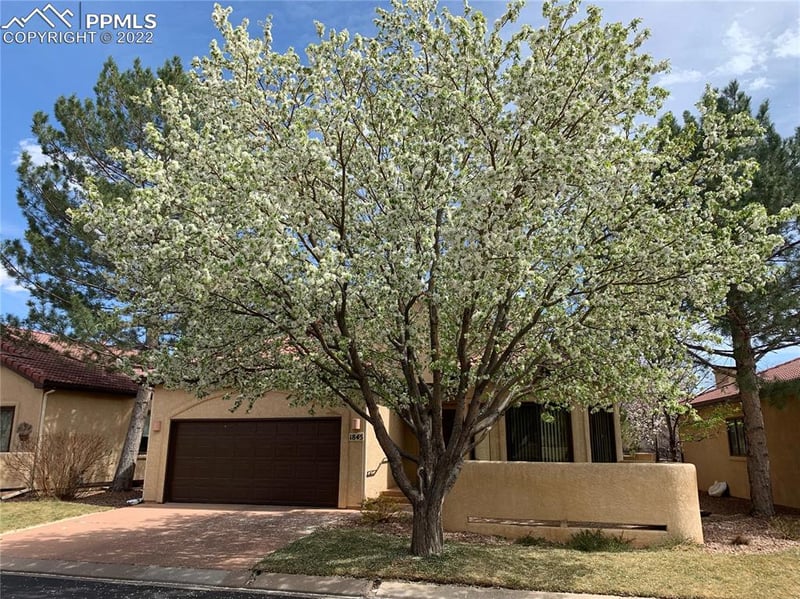 1845 Paseo Del Oro, Colorado Springs, CO 80904