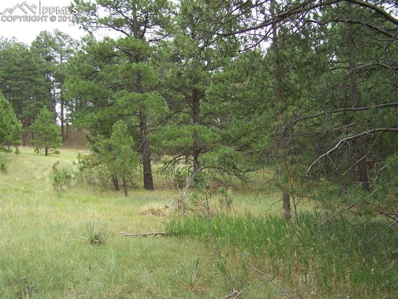 18495 Steeplechase Dr, Peyton, CO 80831